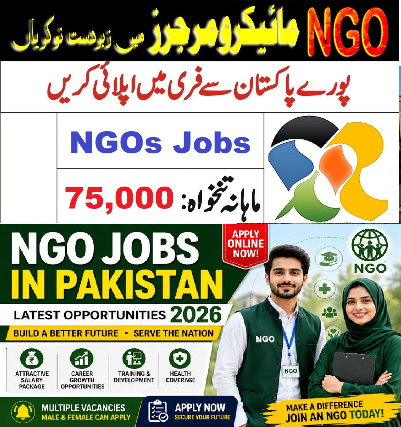 NGO jobs 
